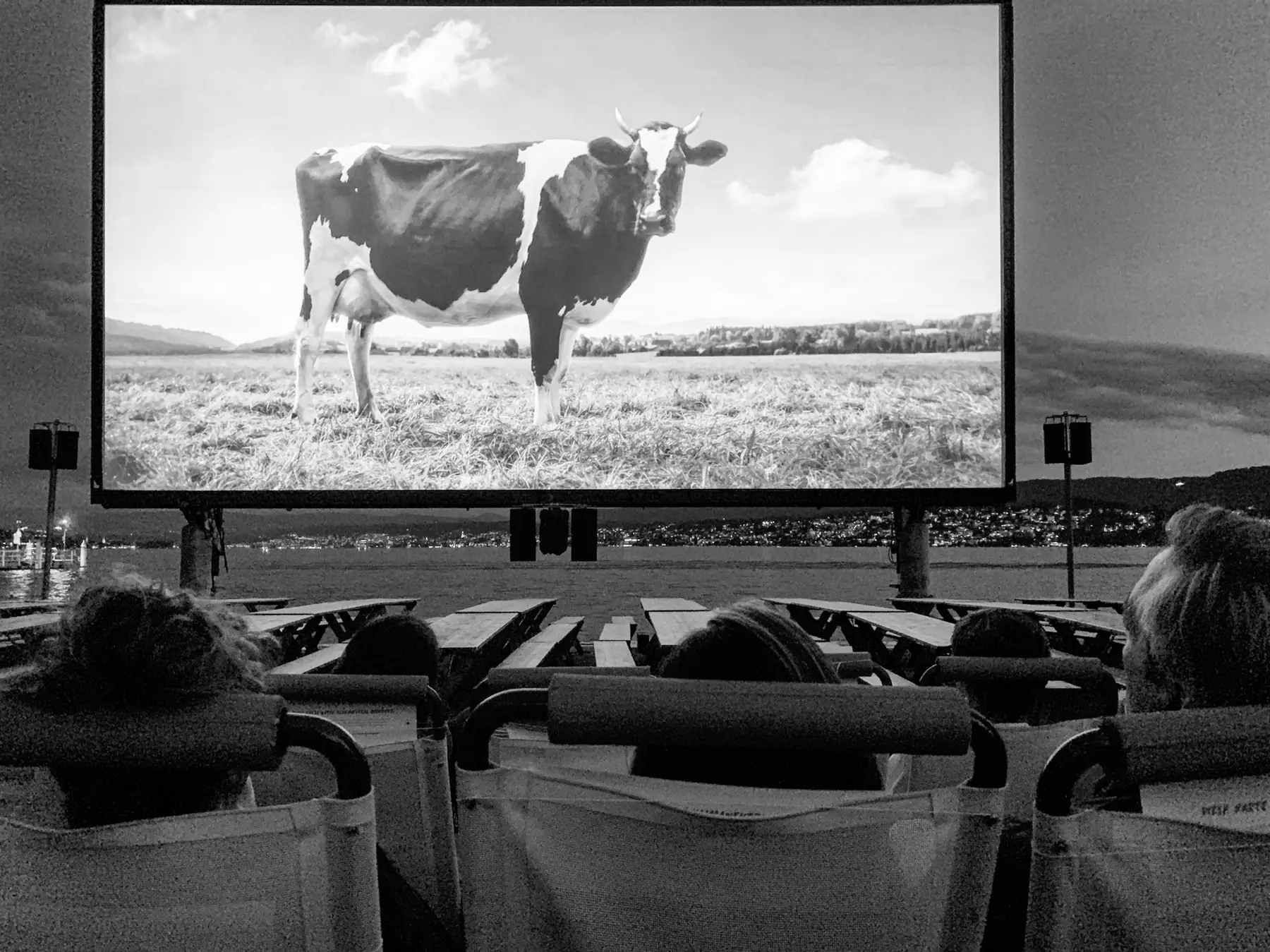 Home cinema set-up with a large screen